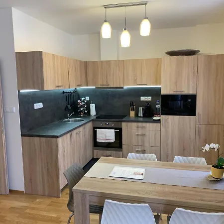 Apartmany Rezidence Klostermann & Javor Zelezna Ruda Exterior photo